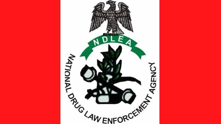 NDLEA Nabs Italy-Based Businessman With 98 Wraps Of Cocaine At Enugu Airport