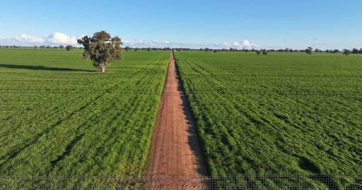 Farming property available as a whole, or in two separate blocks | Photos