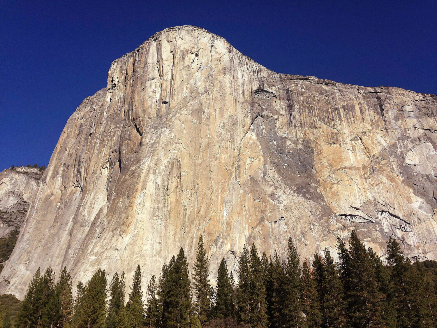 Alaskan climbing star dies in fall from Yosemite’s El Capitan
