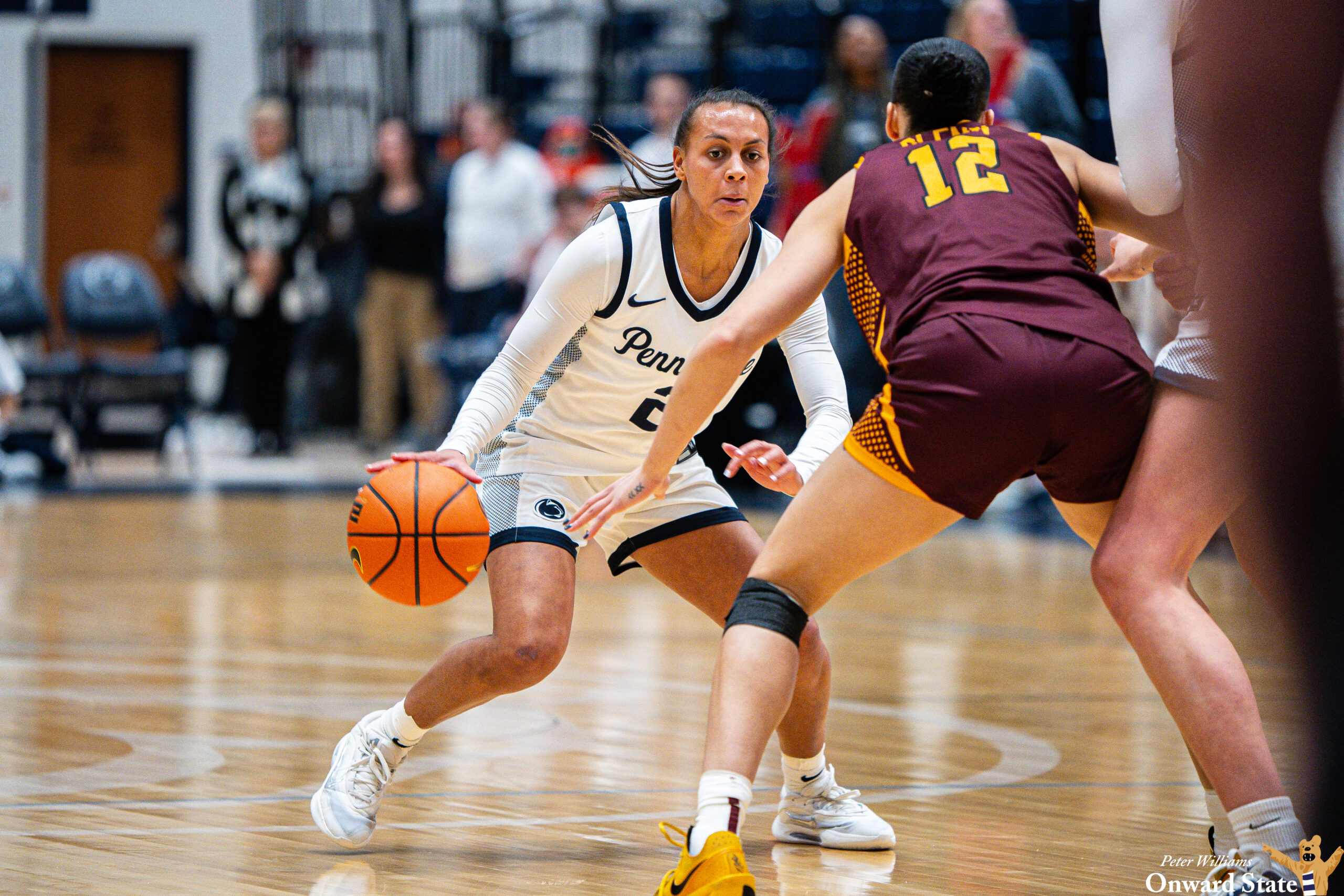 Lady Lions Fall To Minnesota 87-66