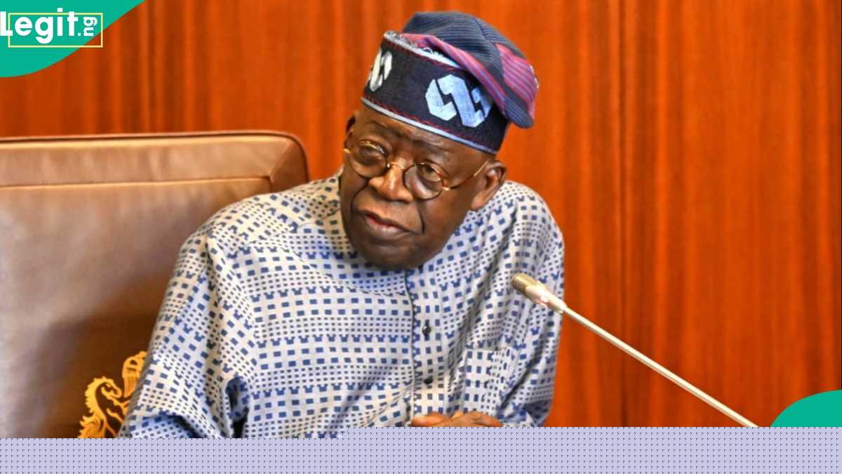 House committee on defence backs Tinubu's military salary rise and army expansion