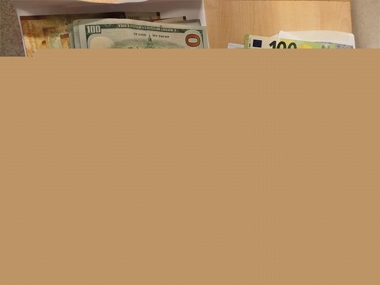 Carinski službenici kod državljana BiH pronašli 36.745 eura, 600 franaka i 1.000 dolara
