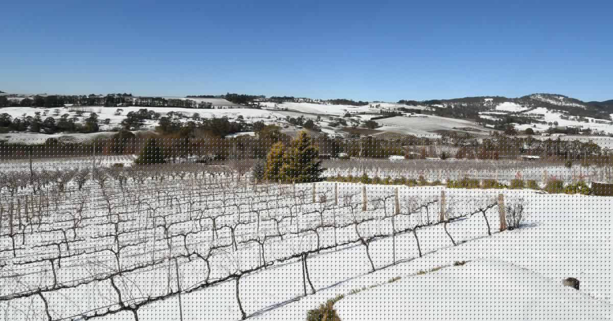 Bare peaks and mild nights: are our legendary snowy winters gone for good?