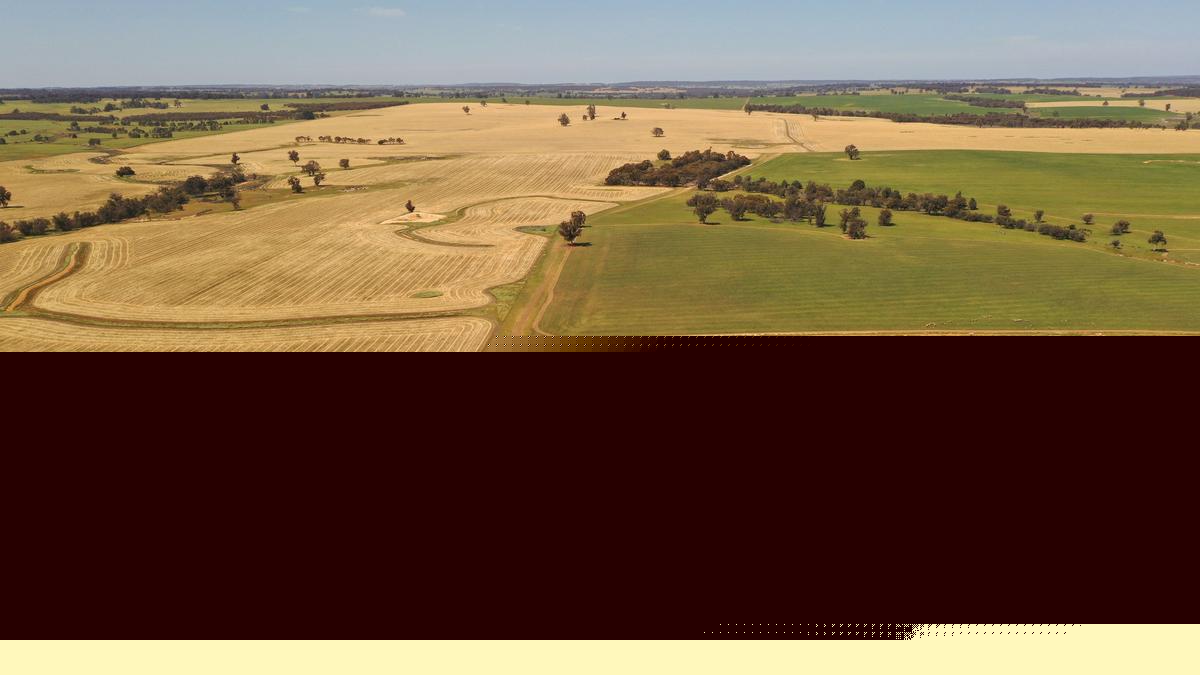 Neoen break ground on Narrogin Wind Farm set to power almost 100,000 homes, with local jobs a ‘priority’