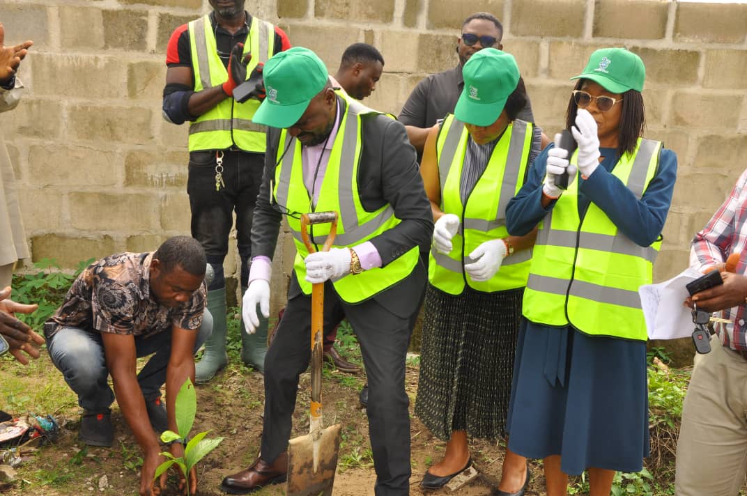 Plant trees to help combat global warming, expert urges Nigerians
