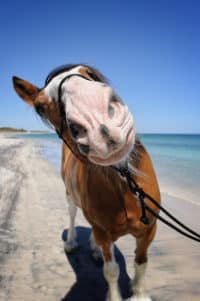 Comment on Really Good Ad: Budweiser’s “I Can Change” Commercial by Harlock