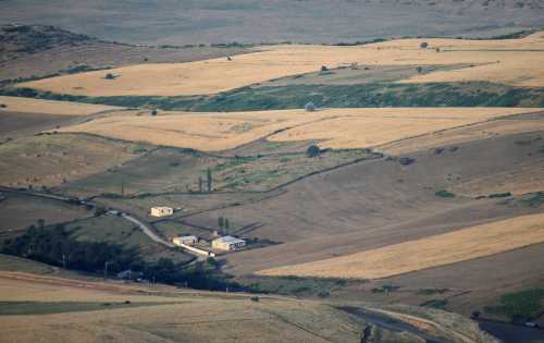 Is Cotton the Answer to Azerbaijan’s Oil Price Woes?