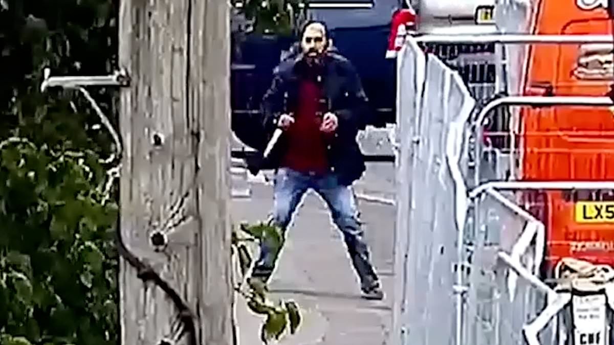 Moment hero Apprentice star bravely intervenes as 'floridly psychotic' knifeman randomly attacks pedestrians