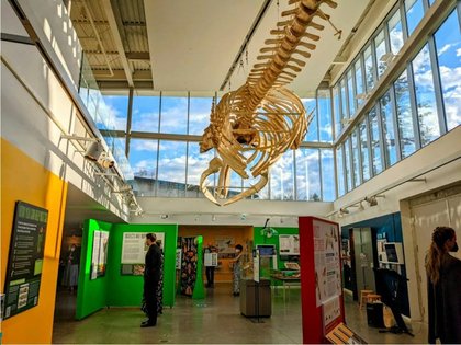 'Something Close to a Miracle': How Donations and Community Efforts Saved the Museum of the Earth