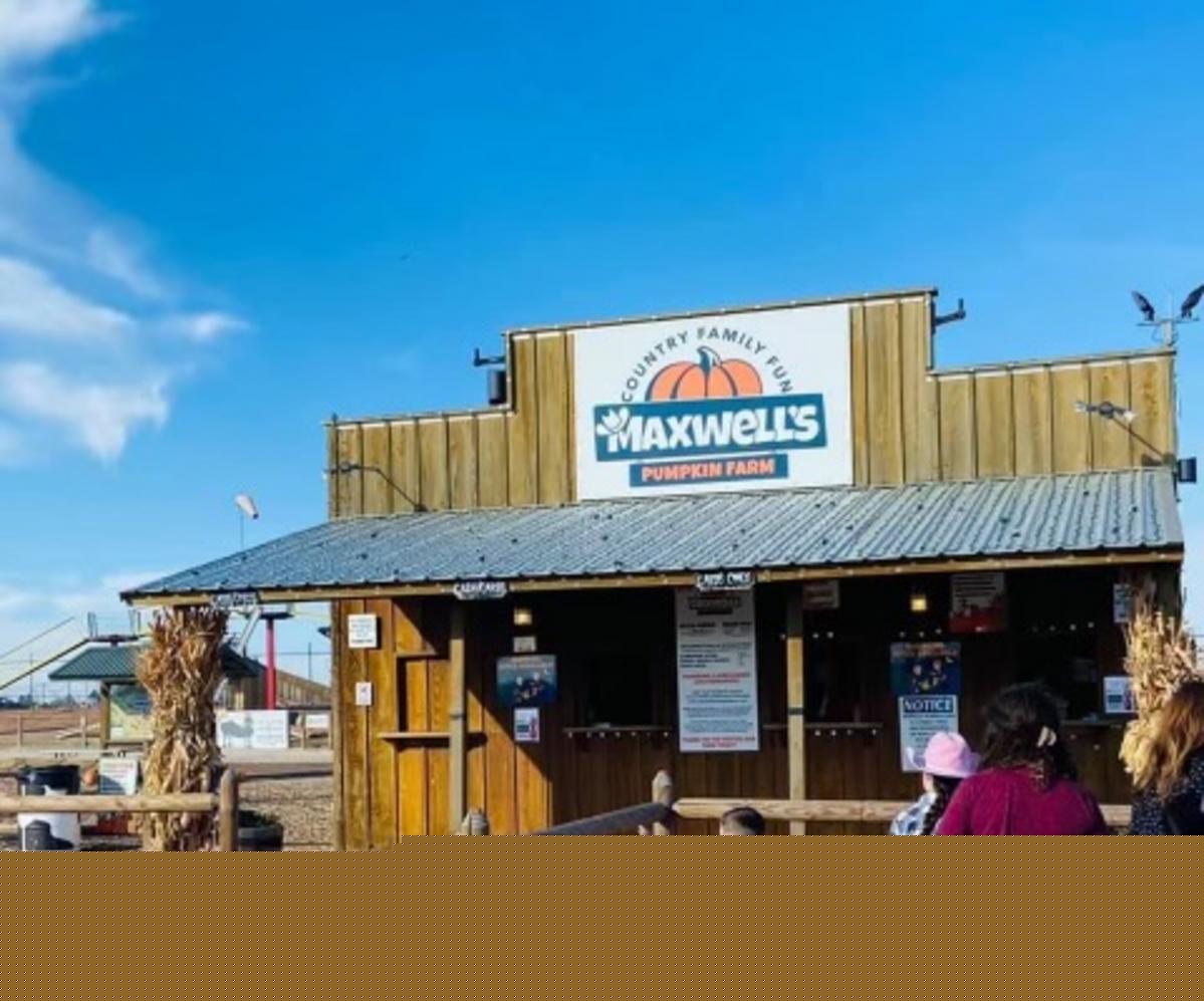 Mystery Construction Spotted at Maxwell’s Pumpkin Farm