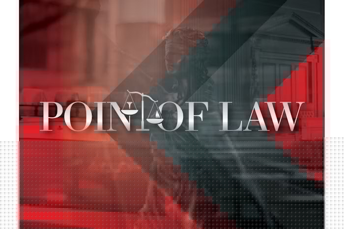 Point of Law: The Limits of Electronic Searches