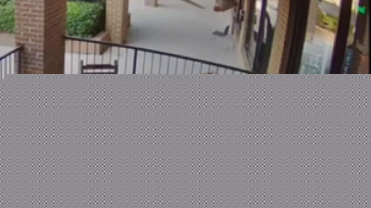 Two deer cause thousands in damages at Peachtree City businesses