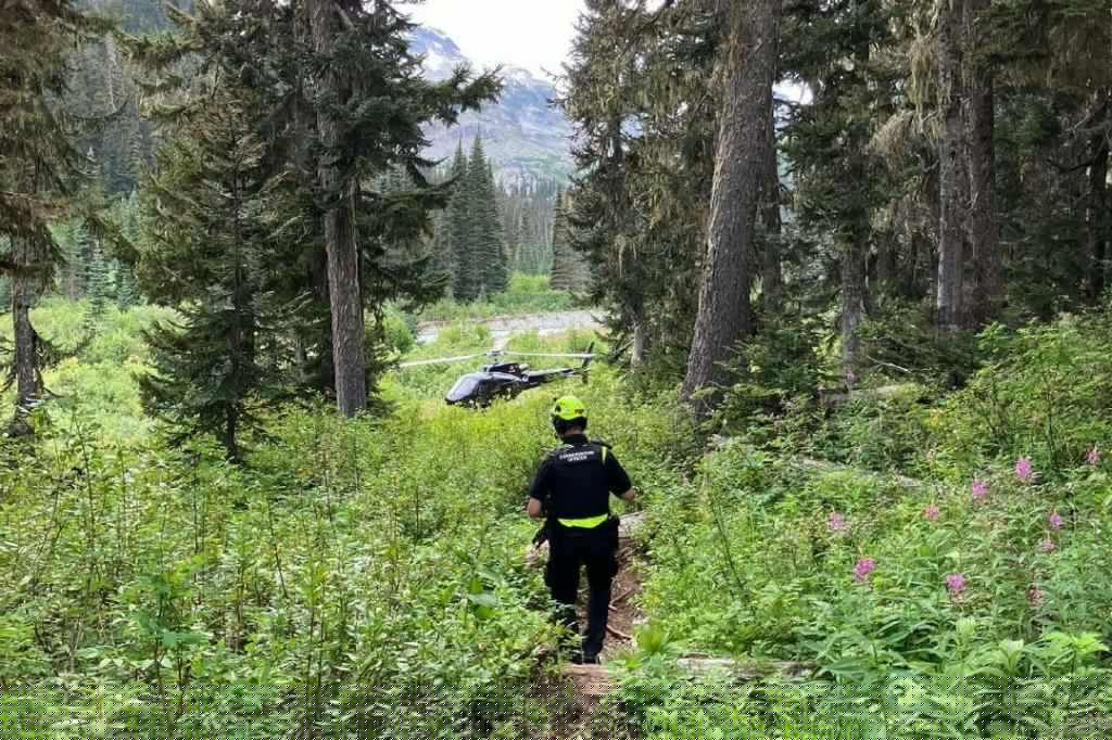 Man injured in grizzly bear attack near Pemberton