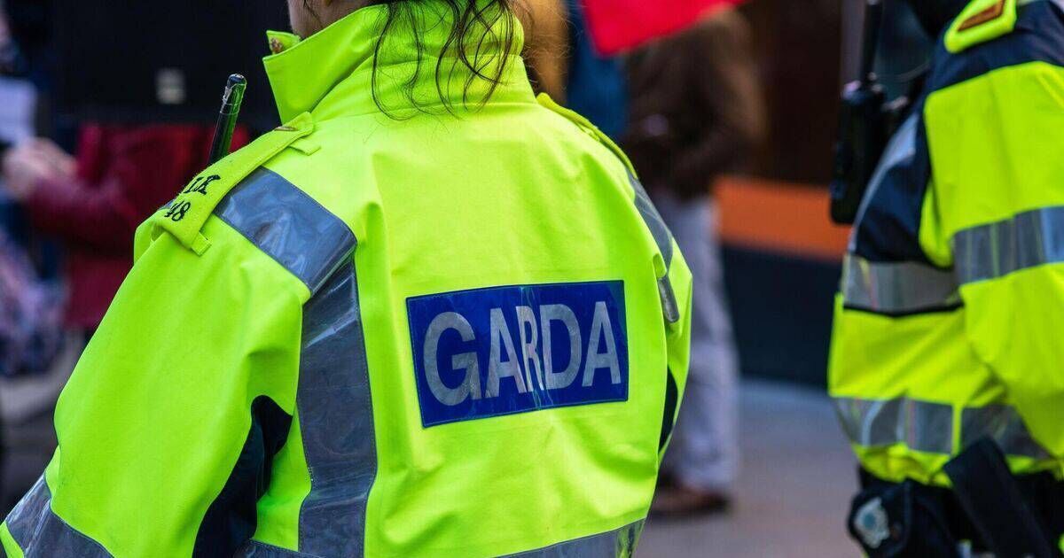 Two arrested as gardaí use pepper spray during pro-Palestine protest at Dublin Port
