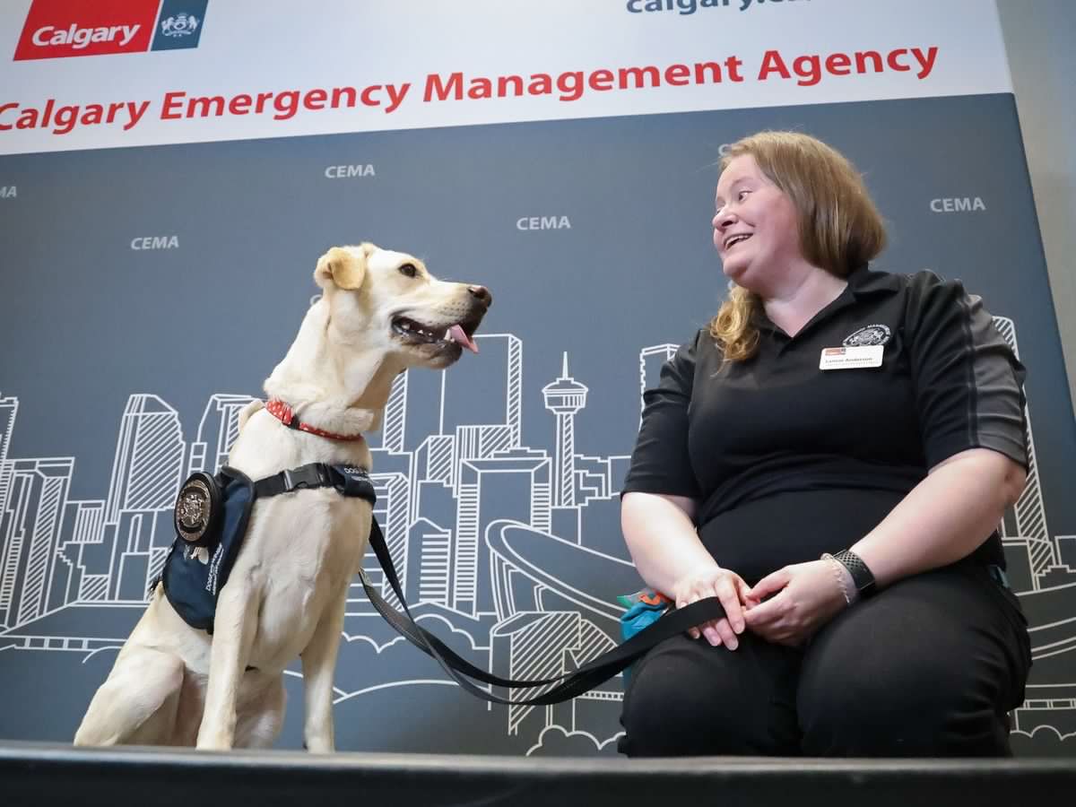 Minnie offers maximum support: CEMA welcomes first support dog