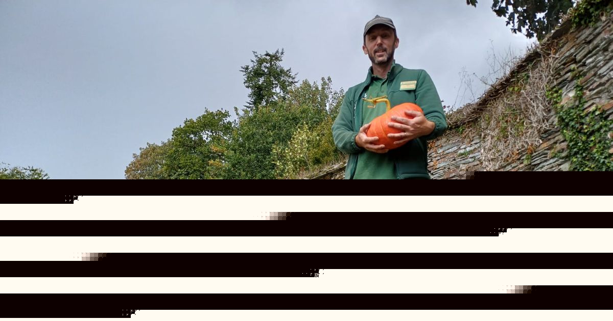 Wonderful National Trust twist that no-one saw coming