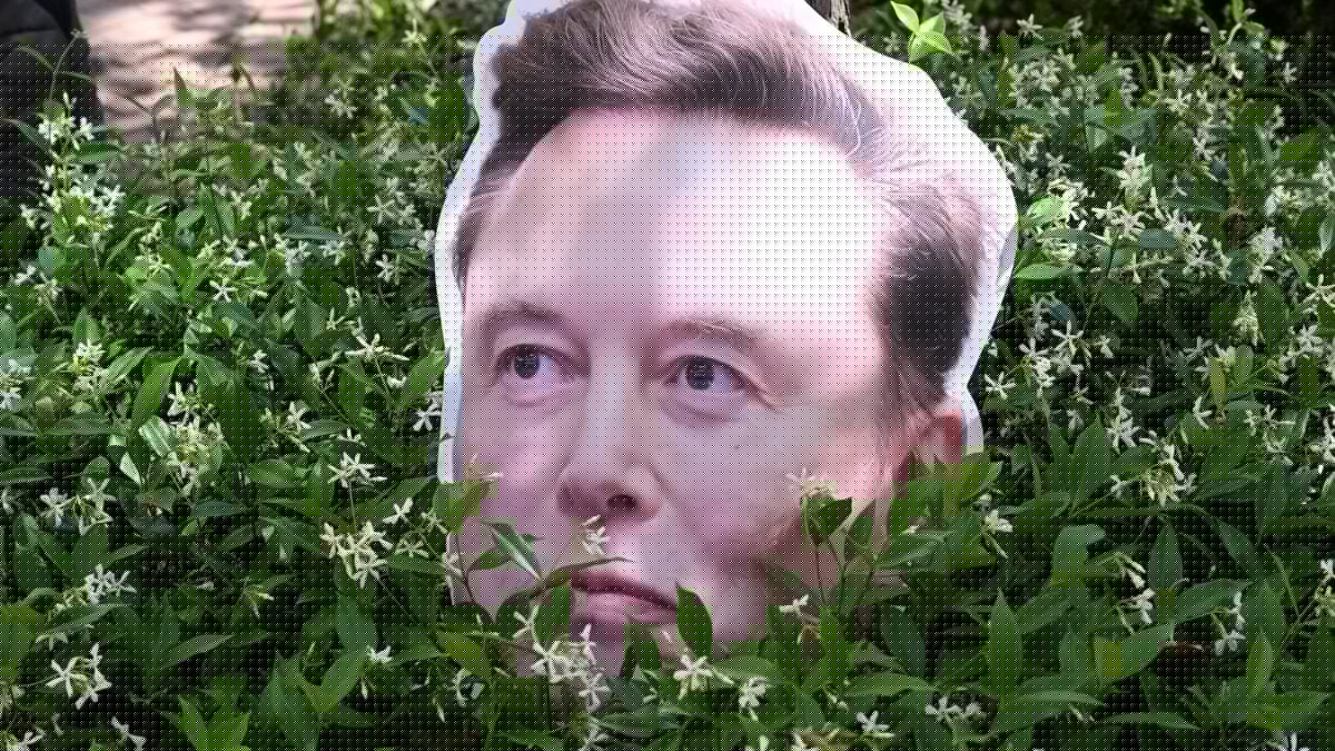 No One Knows What the Hell Elon Musk’s AI Graph Means