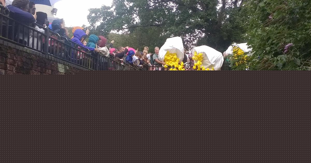 Popular annual duck race returns to Wimborne this month