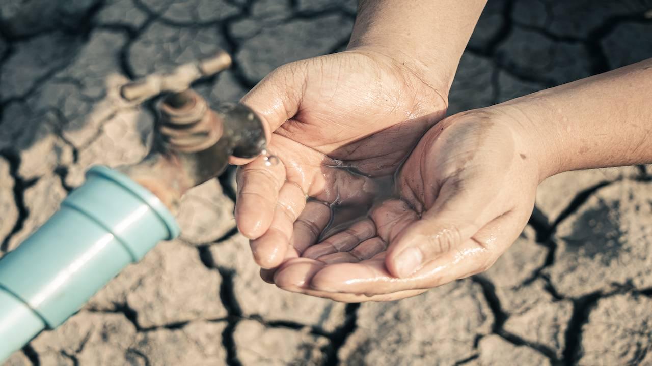 Región enfrenta “megasequía” que afecta suministro eléctrico y agricultura: Colef