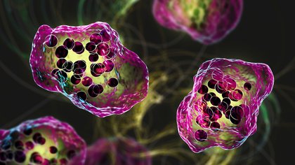 South Carolina's measles outbreak nears 790 cases — making it the biggest in decades