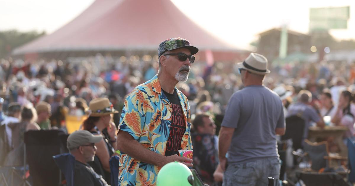 'True hidden gem' festival feels 'refreshingly different' - Review and Pictures