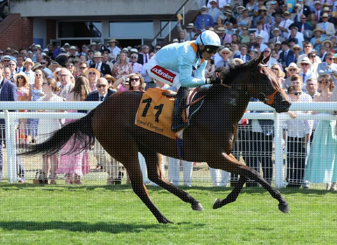 First Stakes Winner For Persian Force As Nunthorpe-Bound Pershaada Annexes Goodwood’s G3 Molecomb