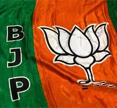 Art 370 abrogation ensured equality, justice, one Constitution in J&K: BJP