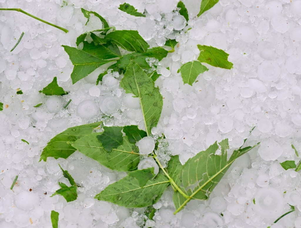 After hail battered this Colorado neighborhood, the HOA sent homeowners $21,000 repair bills