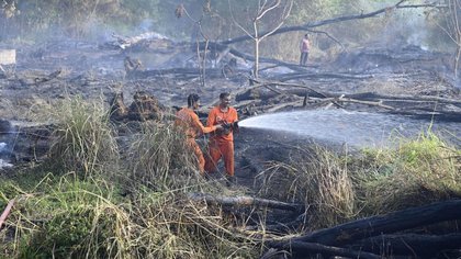 Blaze engulfs forested land at Menamkulam