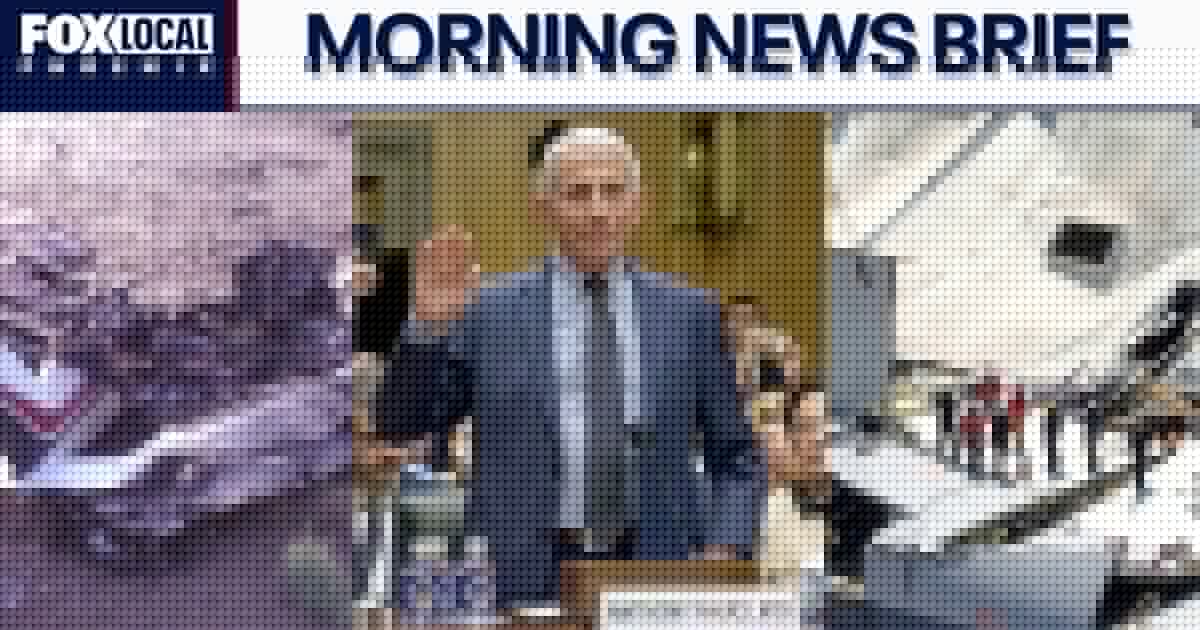 Pilot killed in Chandler plane crash; Fauci invokes 5th Amendment during COVID-19 hearing l Morning News Brief