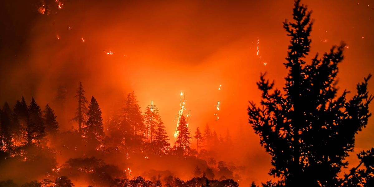 The world is on fire. What are you going to do about it?