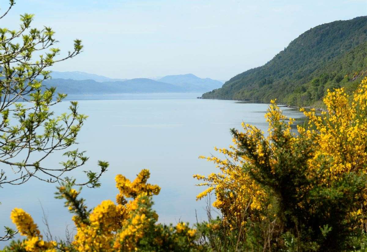 Rewilding company is latest to object to Loch Ness hydro scheme
