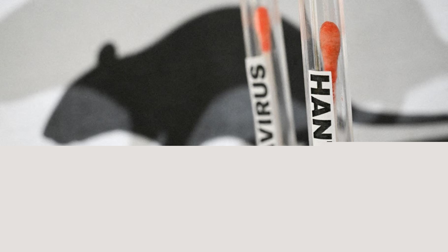 Hantavirus : une personne passée par la France testée positive à la « souche Andes »