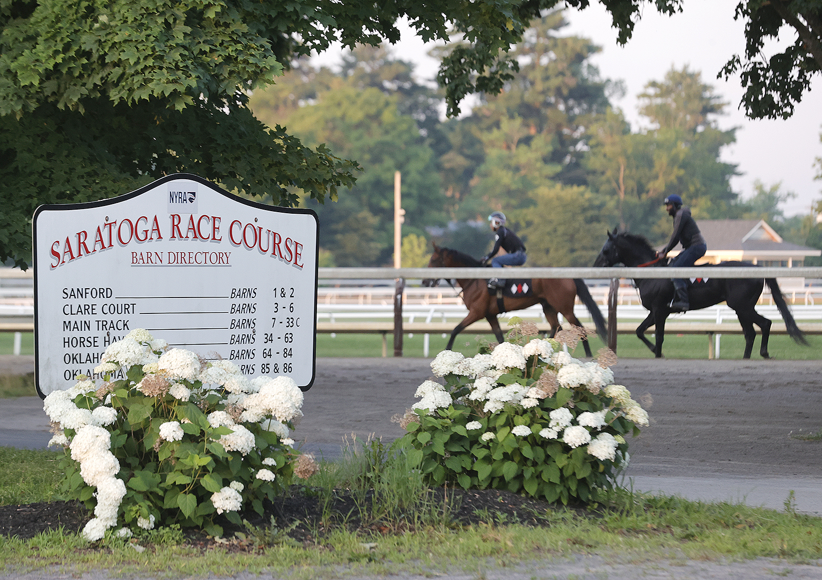 Ocelli breezes over Saratoga main track; G1 DraftKings Travers remains possible