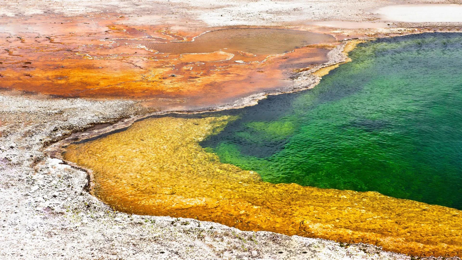 Japan’s hot springs hold clues to the origins of life on Earth