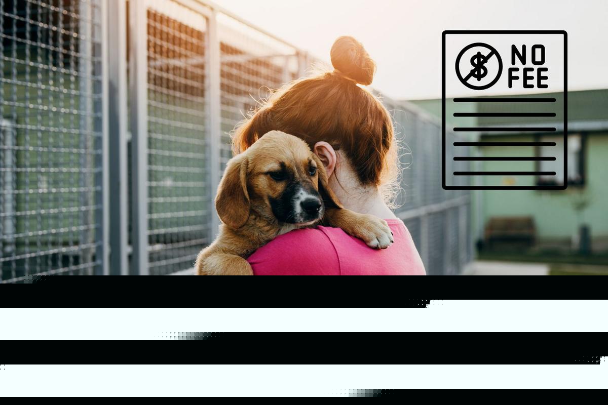Adoption Fees Waived as Kings Harvest Pet Rescue Faces Full Shelter