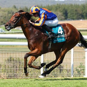 Horses Weekly Briefing: Diamond Necklace and more