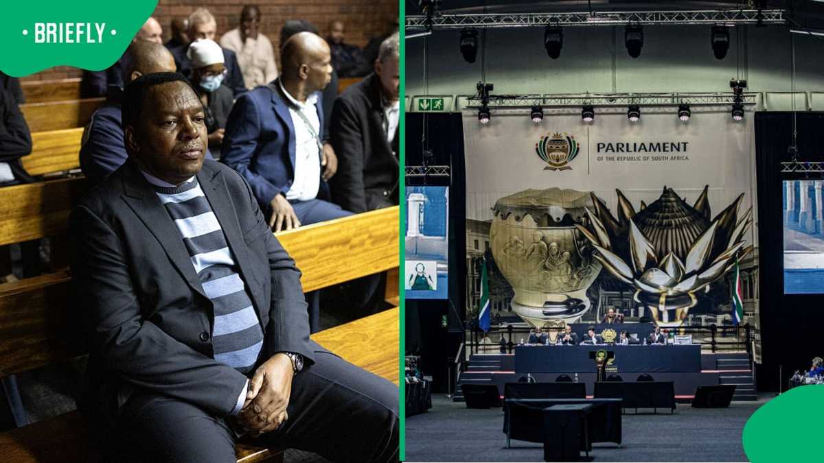 Adv Johnson told team to let Police Commissioner Masemola lie to Parliament, witness testifies