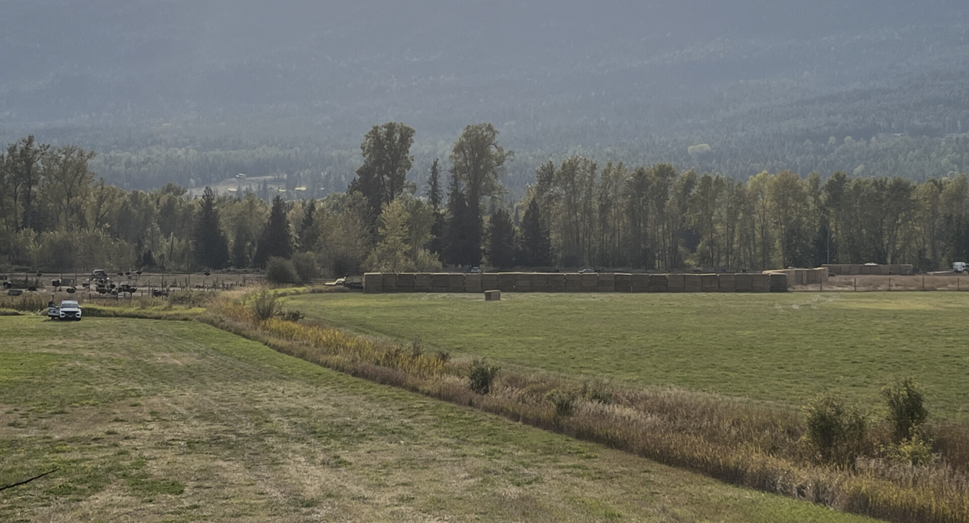 B.C. Supreme Court rules on ownership of Edgewood farm adjacent to former ostrich operation (Vernon)
