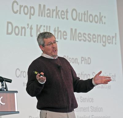 Experts advise farmers on surviving low crop prices
