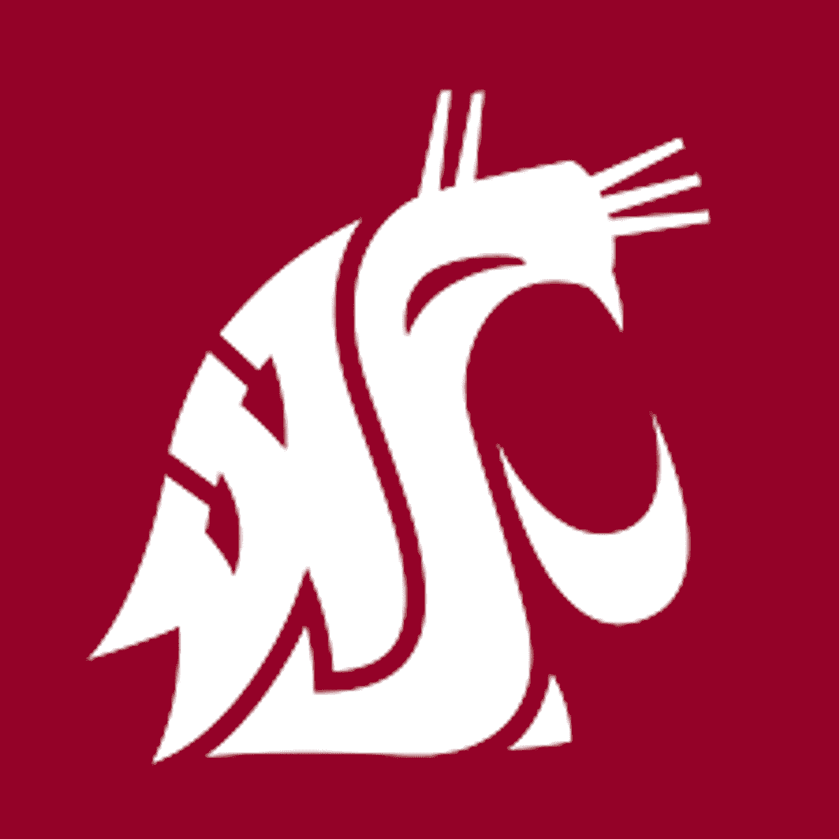 AREA ROUNDUP: WSU soccer, volleyball to be broadcast free on YouTube