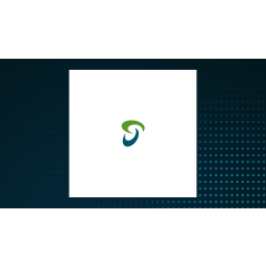 Traders Purchase Large Volume of ProShares UltraShort Gold Call Options (NYSEARCA:GLL)