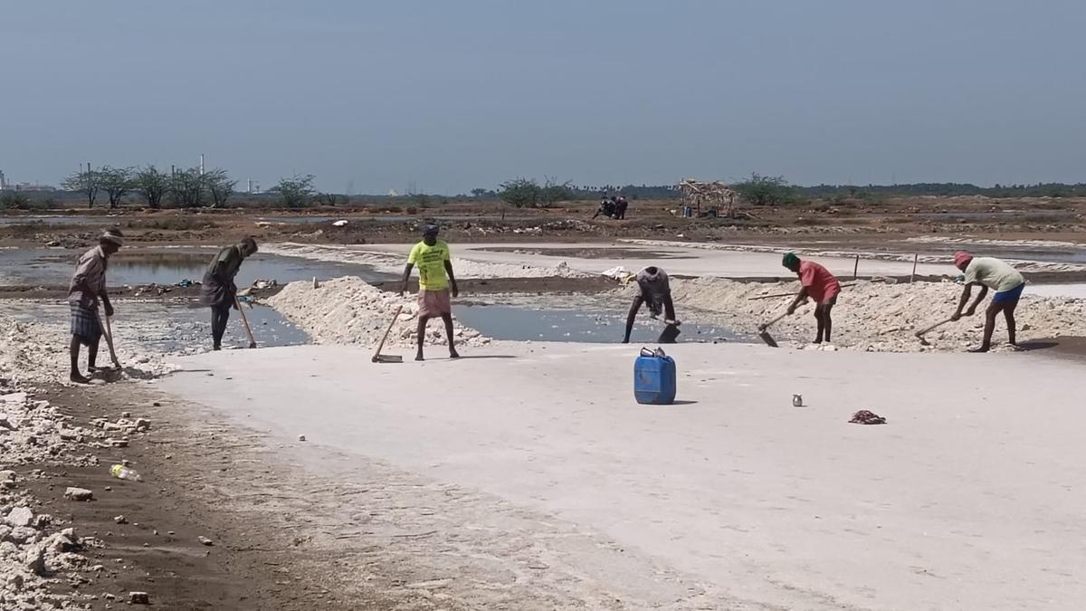 Salt manufacturers urge T.N. CM to renew licences