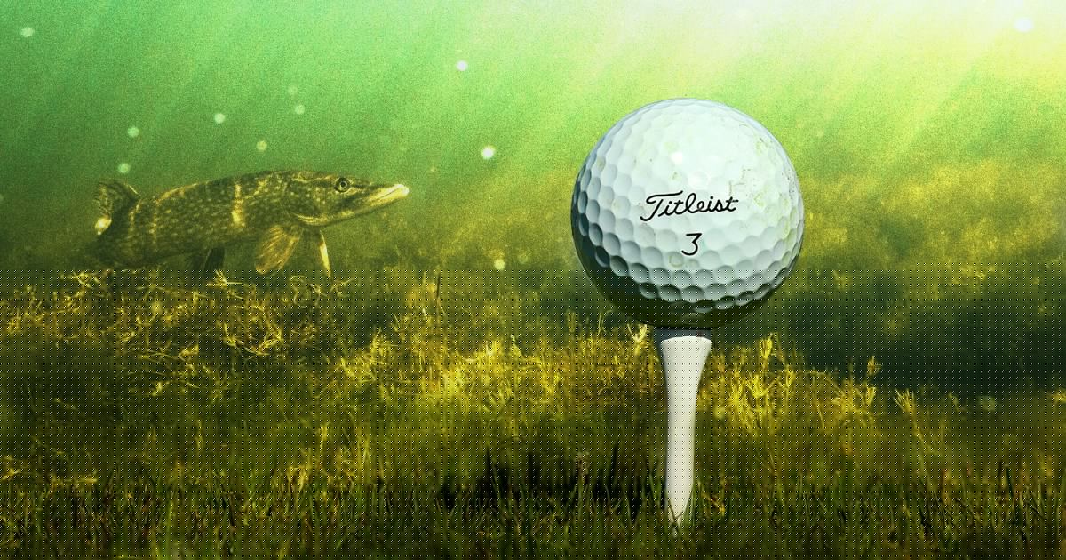 Fore! Trump’s DC Golf Course Is Already in the Rough