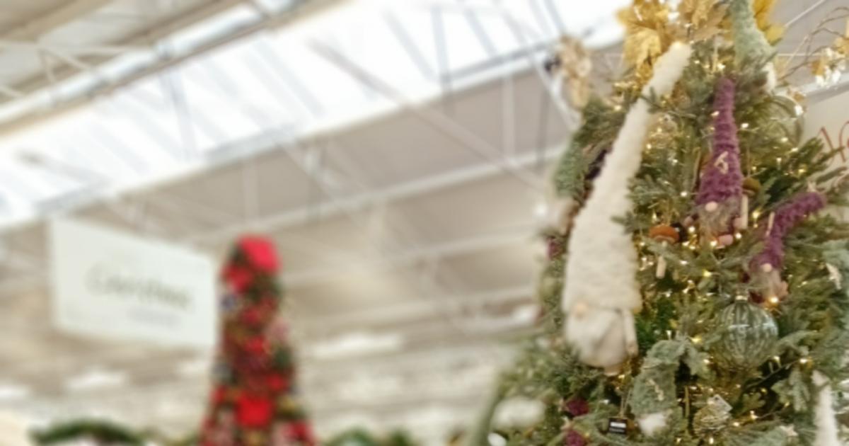 Residents taken on festive outing to garden centre