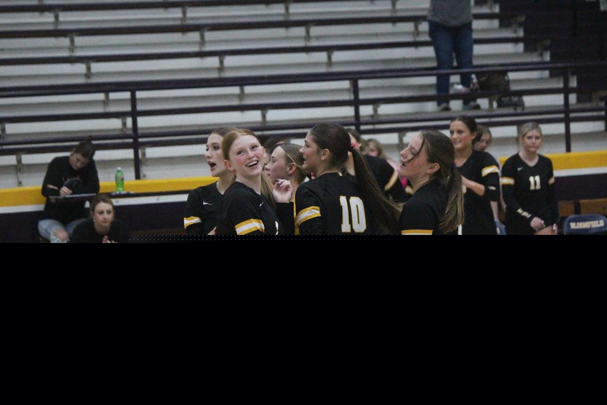 Top returning volleyball teams and players in the Bootheel