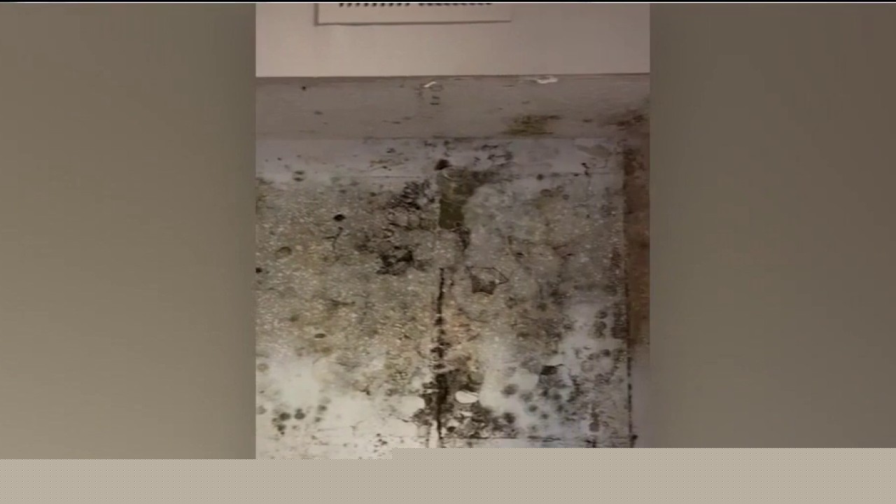 Atlanta tenants plead for help as raw sewage overflows in homes