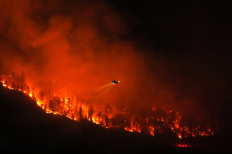 Marchés de prédiction | Miser sur les incendies de forêt pour gagner de l’argent ?
