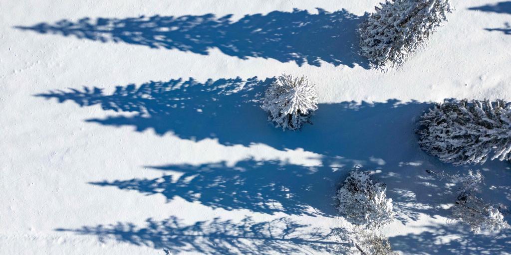 Lo bajan del bus por no llevar el billete adecuado: un niño de 11 años recorre 6 kilómetros bajo la nieve para ir a casa