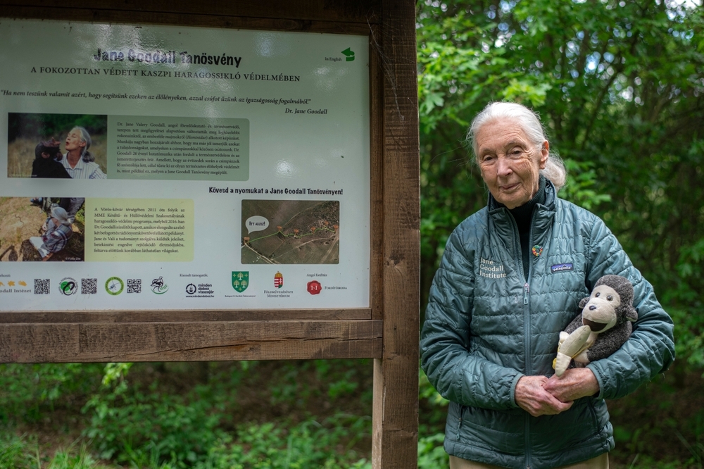 World-famous zoologist Jane Goodall dies at 91